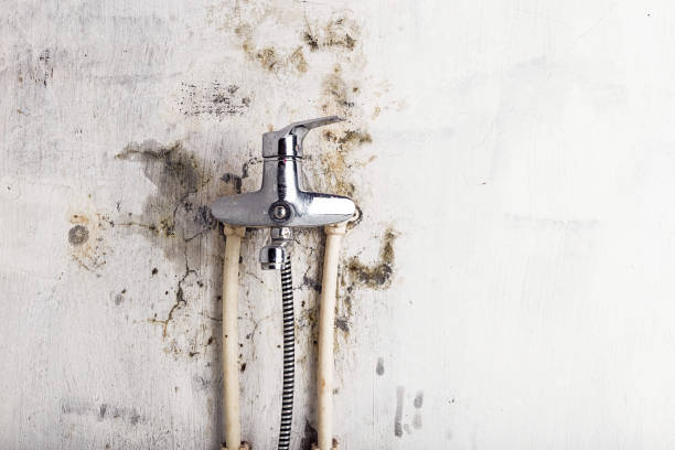 Home Mold Removal in La Quinta, CA